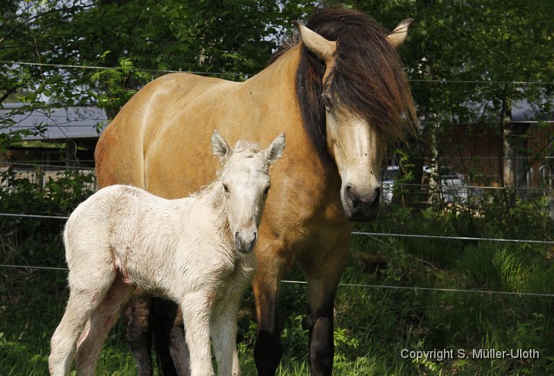 Hjoerdis 1 Stunde und 13 Min alt (2).JPG
